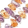 Natural Ametrine Beads Strands G-C179-C01-01-1