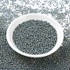 MIYUKI Round Rocailles Beads SEED-X0054-RR1021-2