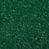 TOHO 11/0 Round Beads X-SEED-TR11-0072-2