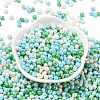 6/0 Glass Seed Beads SEED-L011-08A-02-2