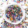 Glass Seed Beads SEED-XCP0001-41-2
