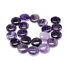 Natural Amethyst Flat Round Bead Strands G-L246-23-2