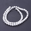 Synthetic Howlite Beads Strands G-E110-6mm-5-2