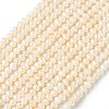 Natural Cultured Freshwater Pearl Beads Strands PEAR-C004-02B-2