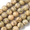 Natural Feldspar Beads Strands G-F818-A06-16mm-02-2