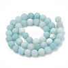 Natural Amazonite Beads Strands G-T106-189-3