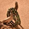 Natural Unakite Bead Stretch Bracelets BJEW-K212-A-006-5