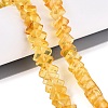 Natural Amber Beads Strands G-N371-12A-01-1
