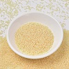 MIYUKI Delica Beads SEED-JP0008-DB2371-2