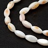 Natural Freshwater Shell Dyed Beads Strands SHEL-M018-13-13-4