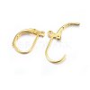304 Stainless Steel Leverback Earring Findings X-STAS-P210-31G-2