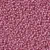 MIYUKI Round Rocailles Beads SEED-X0055-RR0556-3
