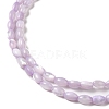 Natural Trochus Shell Beads Strands X-SHEL-K006-19B-3