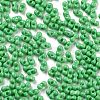 Baking Paint Glass Seed Beads SEED-A033-05Q-3