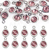 20Pcs Faceted Glass Charms RGLA-TADJ0001-01B-1