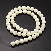 Shell Beads Strands X-SSHEL-E571-39-6mm-2