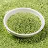 MIYUKI Round Rocailles Beads X-SEED-G009-RR0439-2