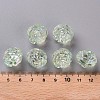 Transparent Acrylic Beads TACR-S154-31C-327-6