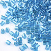 FGB Grade A Glass Seed Beads SEED-S022-03N-2