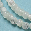 Natural White Shell Dyed Beads Strands BSHE-Z005-03G-3