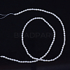 Natural Cultured Freshwater Pearl Beads Strands X-PEAR-R016-05-2
