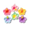 Opaque Resin Pendants RESI-A046-05G-2