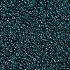 MIYUKI Round Rocailles Beads X-SEED-G007-RR2406-3