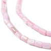 Natural Freshwater Shell Dyed Beads Strands SHEL-M018-12-09-3