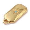 Brass Micro Pave Cubic Zirconia Charms ZIRC-I054-12G-3