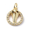 Brass Micro Pave Cubic Zirconia Charms ZIRC-F131-12G-1