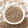 Electroplate 12/0 Glass Seed Beads X-SEED-Q003-01-1