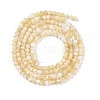 Natural Trochus Shell Beads Strands BSHE-G036-08A-02-2