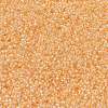 MIYUKI Round Rocailles Beads X-SEED-G009-RR0282-3