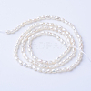 Natural Cultured Freshwater Pearl Beads Strands X-PEAR-S010-14-2
