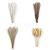 Mini Dried Pampas Grass HULI-PW0002-112A-1