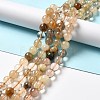 Natural Rutilated Quartz Beads Strands G-B029-B02-04-4