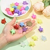 60Pcs 2 Styles Acrylic Pendants MACR-YW0004-75-3