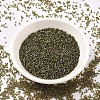 MIYUKI Delica Beads SEED-MY11-DB1739-2