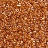 MIYUKI Delica Beads SEED-X0054-DB1702-3