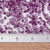 MIYUKI Delica Beads X-SEED-J020-DB2389-4