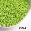 Opaque 11/0 Glass Seed Beads SEED-I013-2mm-RR44-1