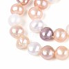Natural Cultured Freshwater Pearl Beads Strands PEAR-N014-05M-02-4