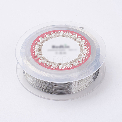 Steel Wire TWIR-E001-0.1mm-1