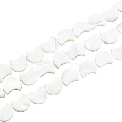 1 Strand Natural White Shell Beads Strands SSHEL-BC0001-18-1