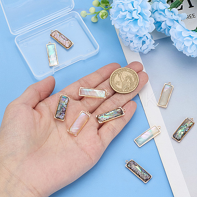 10Pcs 2 Styles Natural Paua Shell Pendants KK-WR0001-71-1