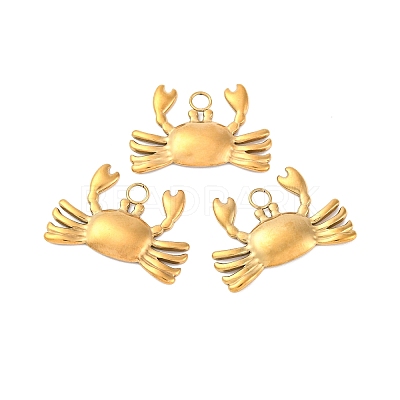 Ion Plating(IP) 304 Stainless Steel Pendants STAS-E182-08G-1