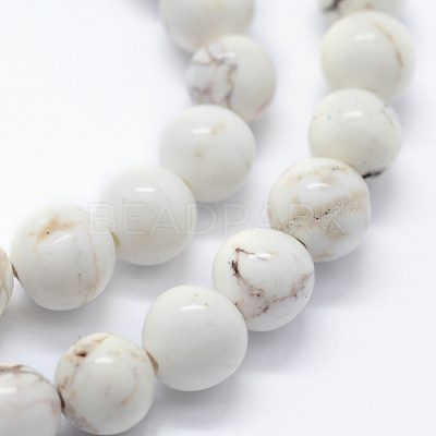 Natural Magnesite Beads Strands G-I199-27-10mm-1