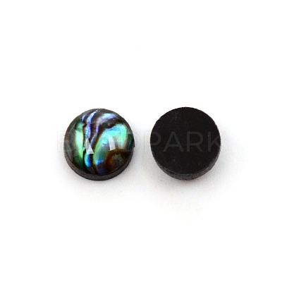 Paua Shell Cabochons SHEL-WH0001-002A-1