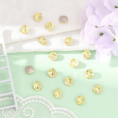 Preciosa® MAXIMA Crystal Fancy Stones X-PRC-FC10-80100-1