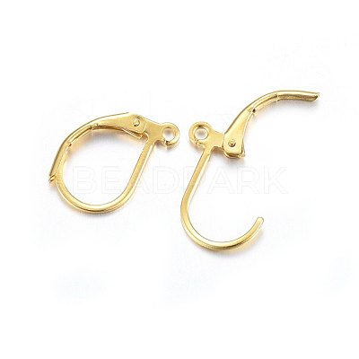 304 Stainless Steel Leverback Earring Findings X-STAS-P210-31G-1